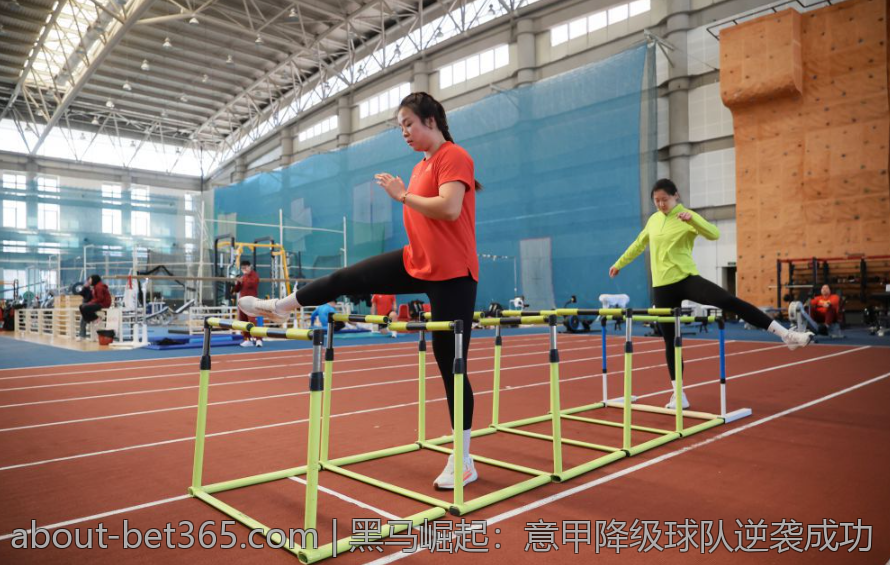 黑马崛起：意甲降级球队逆袭成功