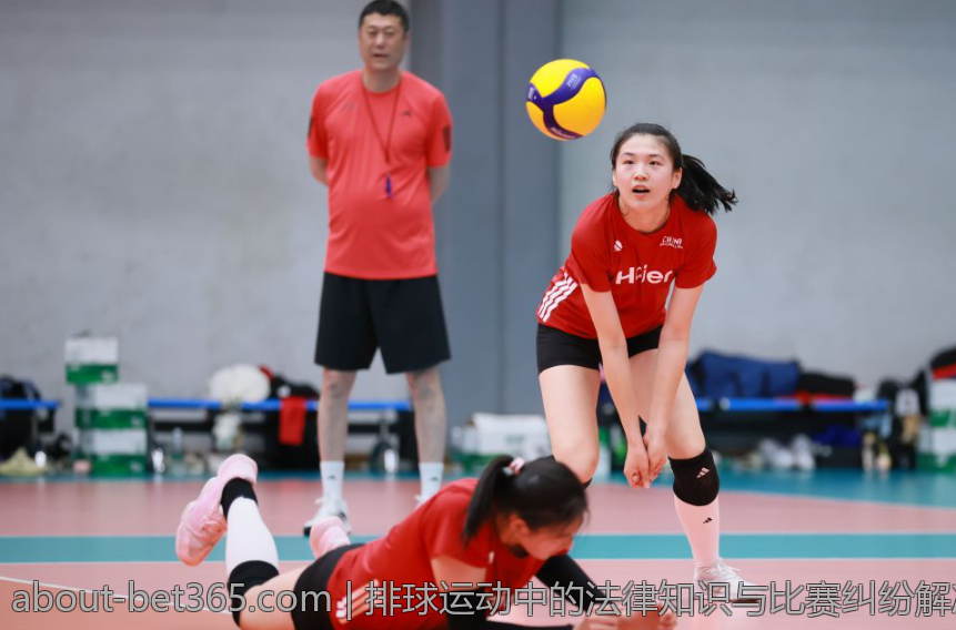 排球运动中的法律知识与比赛纠纷解决方案